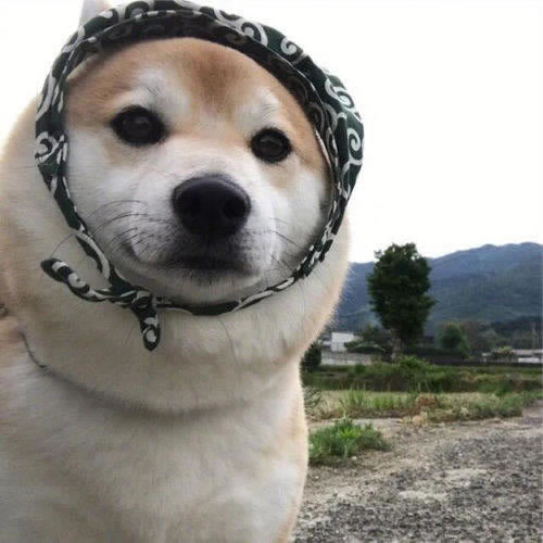 在黑平臺上取款通道維護多久解除才能提現要如何破解（圖）