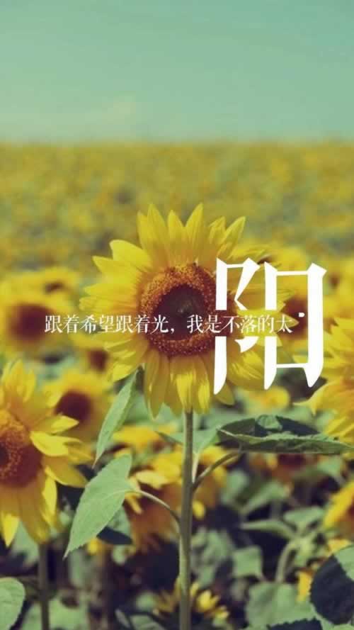 提款客服說財(cái)務(wù)清算審核維護(hù)什么意思大家如何處理(圖)