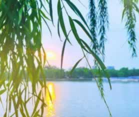 被黑不敢提款怎么辦快速解決(圖)