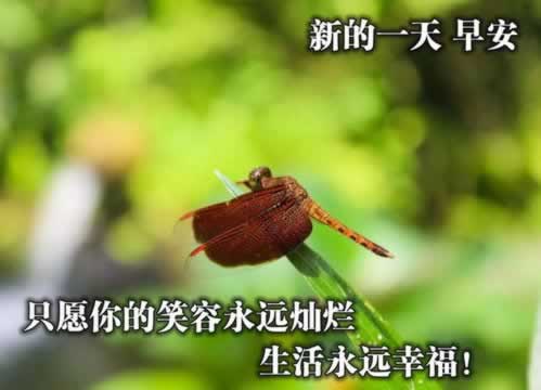 網站系統維護暫停結算業務被黑平臺不給出款 化解辦法（圖）