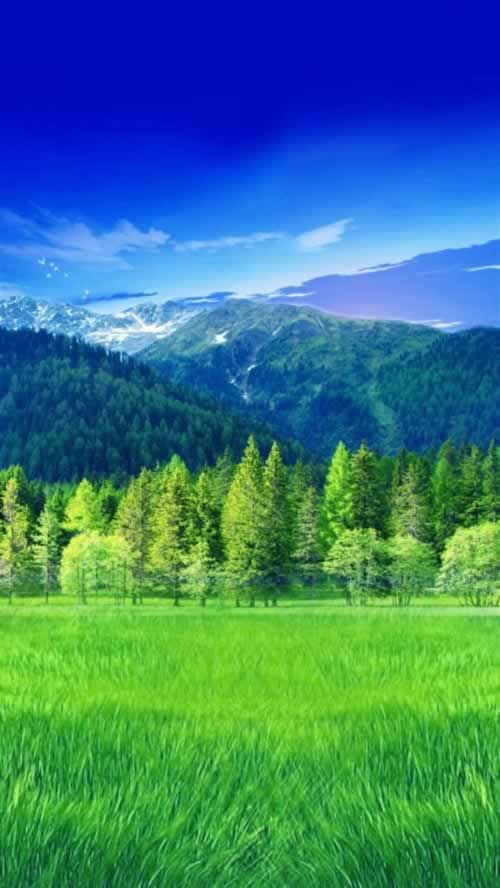 平臺取款失敗 化解方案（圖）