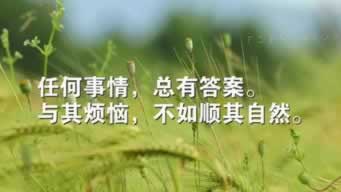 網(wǎng)上被黑拿不出來出不了款怎么對付應(yīng)該怎么辦(圖)