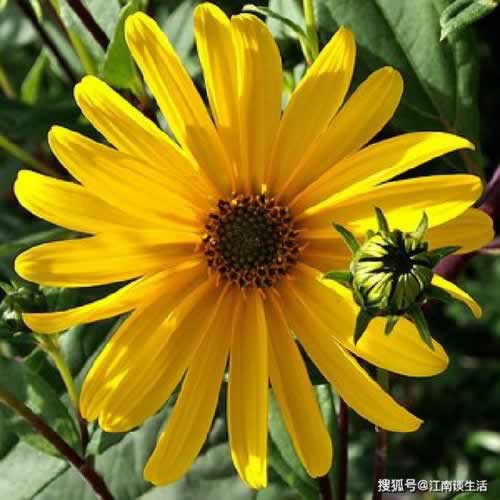 網(wǎng)上被黑提款失敗不給出款怎么辦怎樣處理（圖）