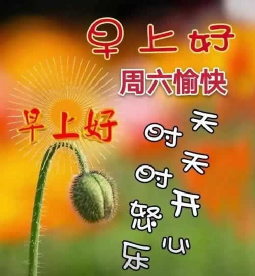 被黑找出黑有用嗎 處理方式（圖）