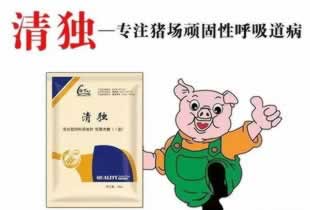 網上視訊數據未傳回怎么情況(圖)