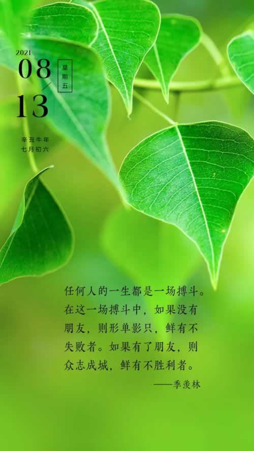遇到平臺錢一直無法提款要如何操作(圖)