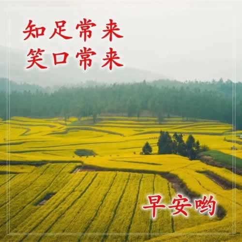 網上游戲被黑系統維護審核不給出款到底怎么搞（圖）