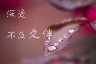 在黑網上通道維護提現失敗怎么這樣(圖)