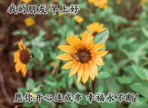 平臺被黑提款不到賬怎么辦怎么辦才好（圖）