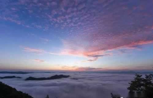 網(wǎng)絡(luò)平臺(tái)上賬戶違規(guī)下注提不了大家如何面對(duì)（圖）