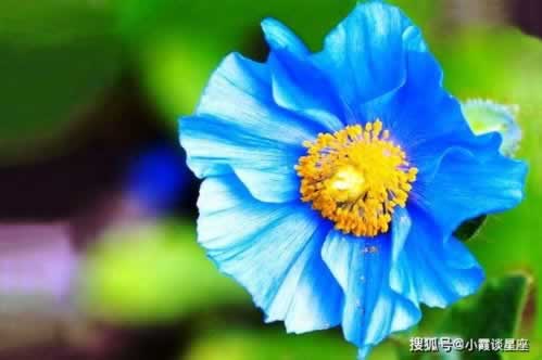 網上被黑一直取款維護提不了款什么意思啊怎么會這樣（圖）