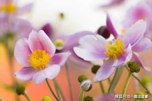 網(wǎng)上客服回復銀行系統(tǒng)維護提不了款碰到了怎么解決(圖)