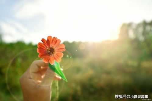 黑網客服說出款通道維護一直不給出款 解決方式（圖）