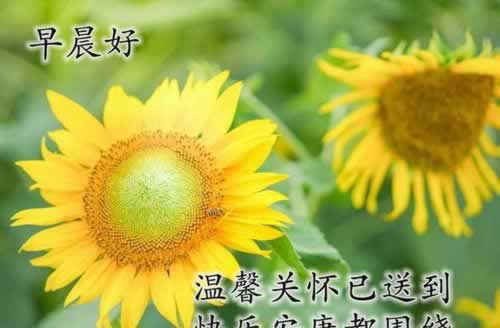網上被黑提款通道維護需要多久哪里有方法教你怎么挽回（圖）