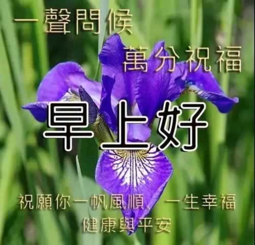 專業處理審核失敗退回出款注意什么(圖)