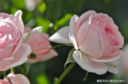 網上不能取款賬戶審核如何解決 化解思路（圖）