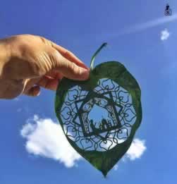 碰到視訊數據未傳回解決辦法怎樣面對(圖)