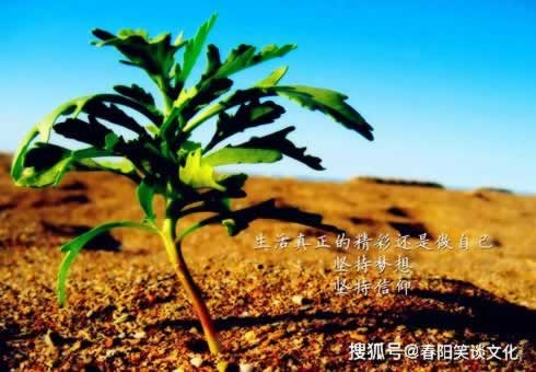 網上被黑部門風控審核有什么辦法拿回嗎 補救思路（圖）