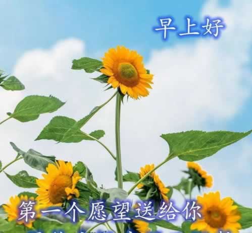遇到平臺系統(tǒng)維護部門審核一直不給提款 應(yīng)對方案（圖）
