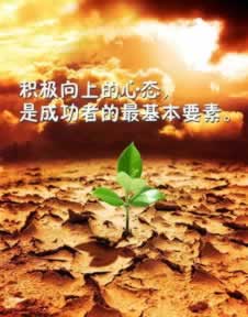 平臺出款端口維護不能出款 處理辦法（圖）