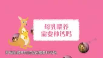 能解決被黑說目前財務清算 應對策略（圖）