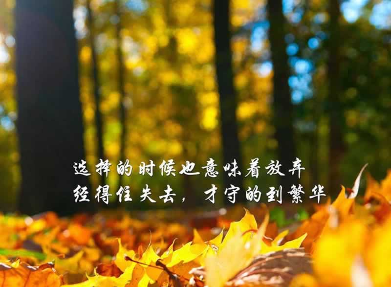 關于提現時審核被拒絕有什么解決辦法嗎 解決策略(圖)