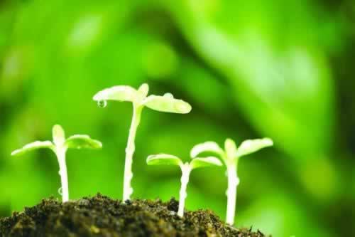 網(wǎng)絡(luò)上被黑到賬號涉嫌刷水審核不給提款如何挽回（圖）